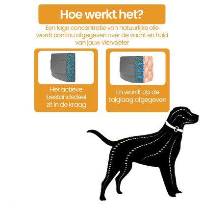 PetsPals TeekShield™ - Anti-Teek & Vlooien Band Hond