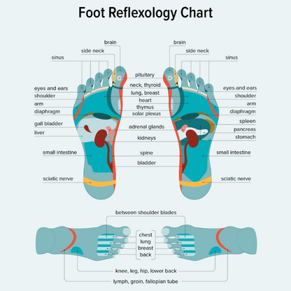 AcuEase™ || Je dagelijkse voetreflexologie
