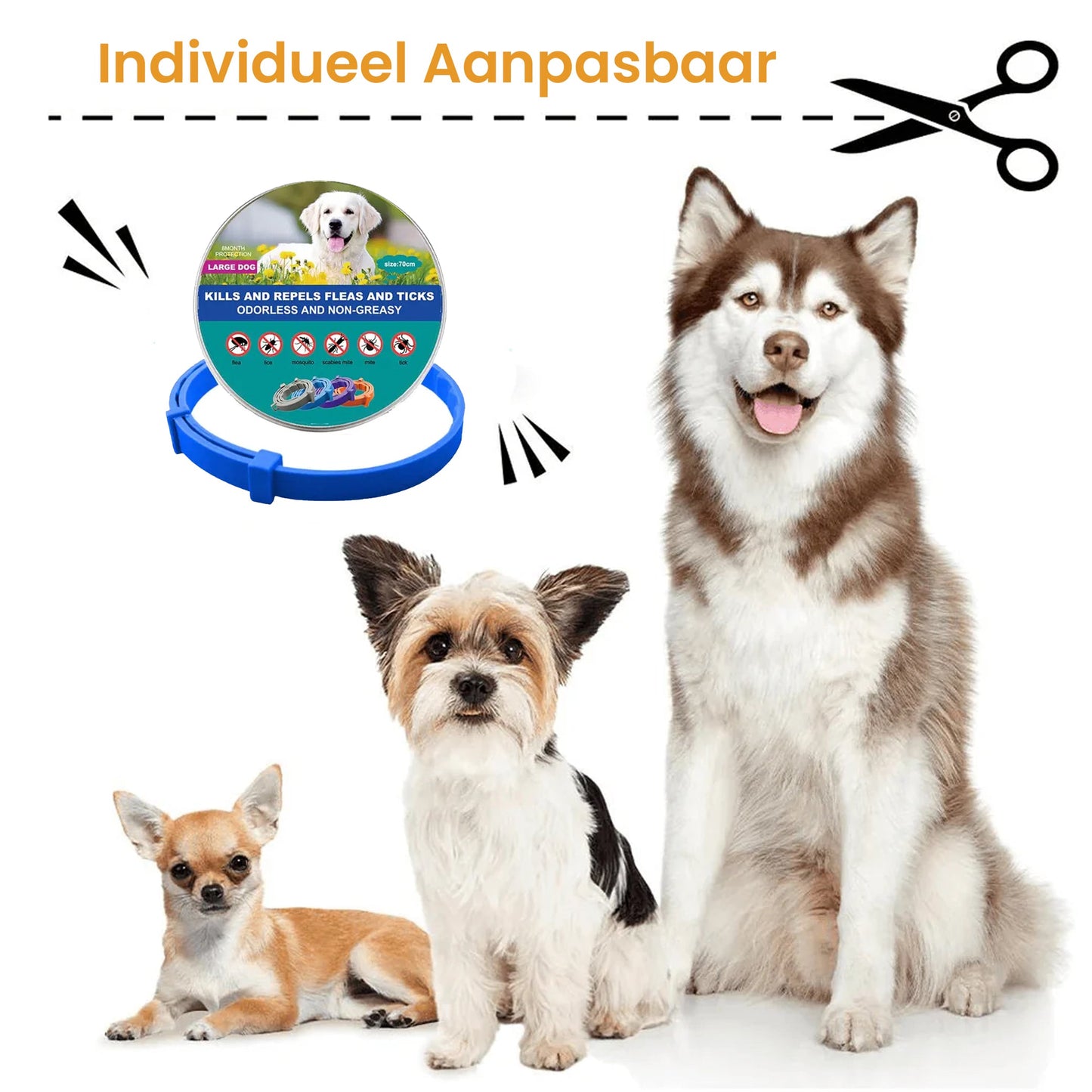 PetsPals TeekShield™ - Anti-Teek & Vlooien Band Hond