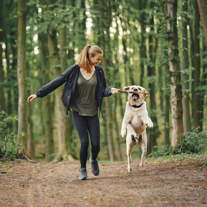 PetsPals TeekShield™ - Anti-Teek & Vlooien Band Hond