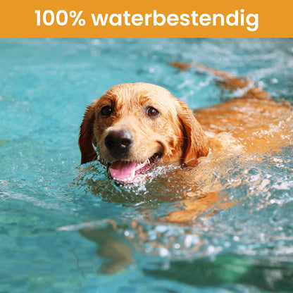 PetsPals TeekShield™ - Anti-Teek & Vlooien Band Hond